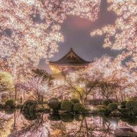 千面萬戲［自選主題對戲］