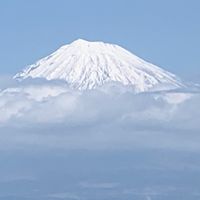 ❇️MLMコミュニティ❇️『MLM交流所🙌ネットワークビジネス人脈作り』