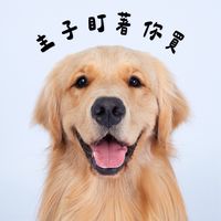主子們的ATM💸