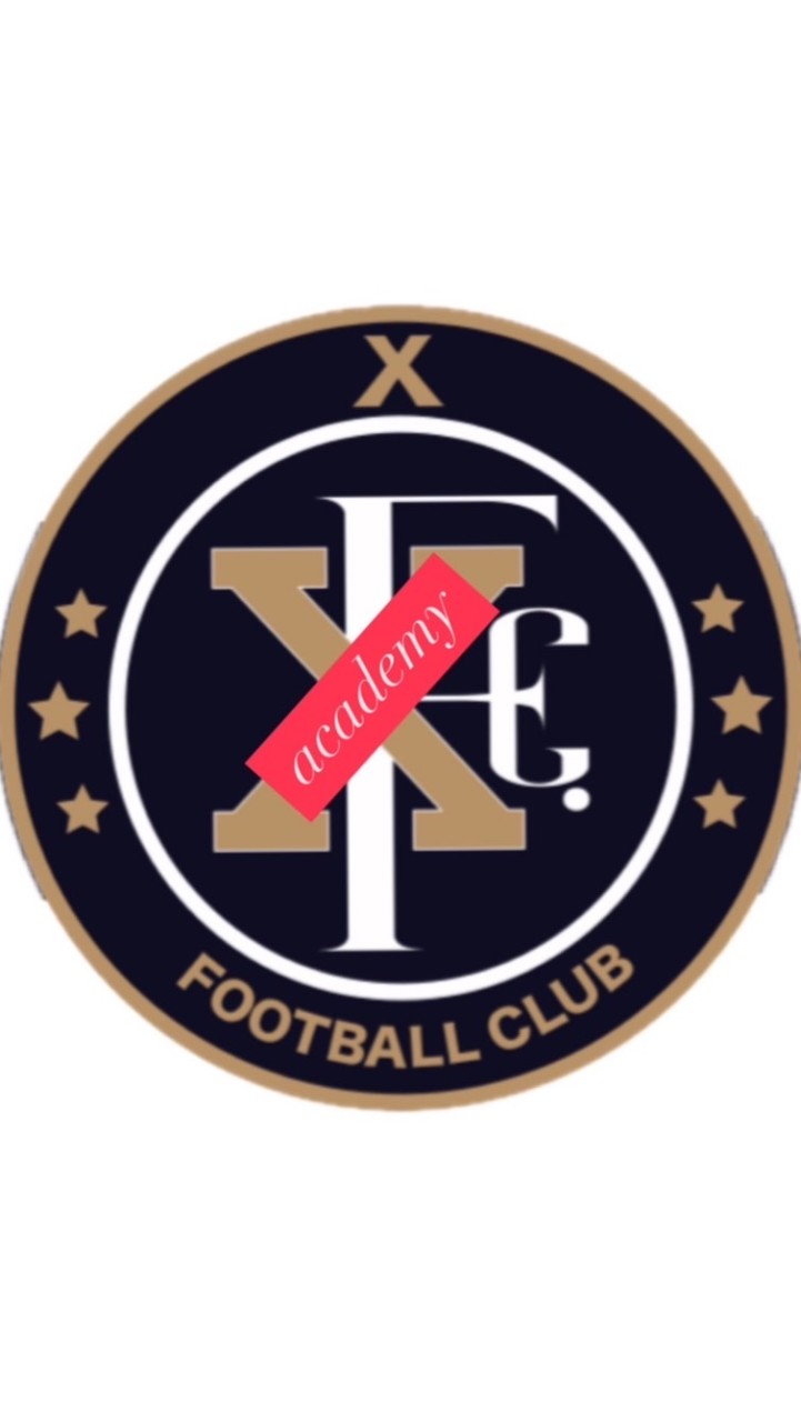 XFC.academy