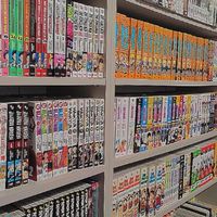 BL READER