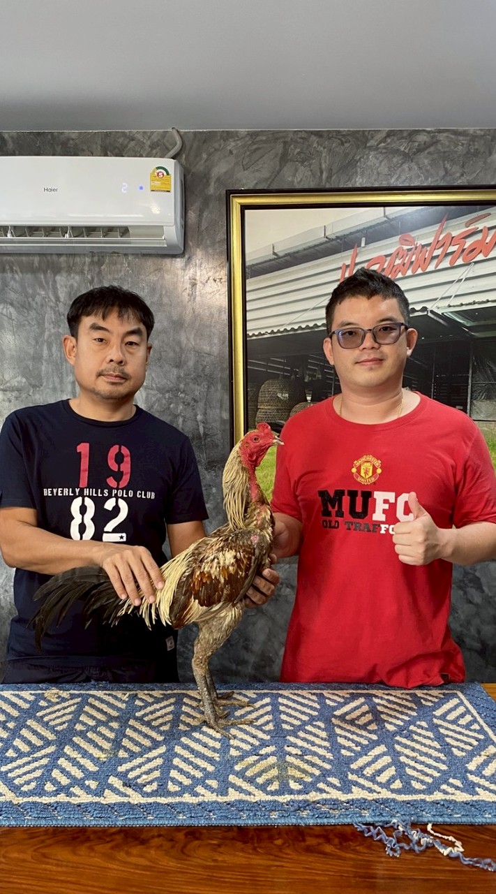 ยุทธนาฟาร์ม