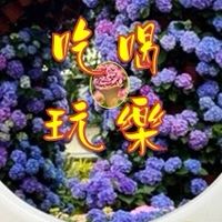 小蓉a吃喝玩樂趣旅行