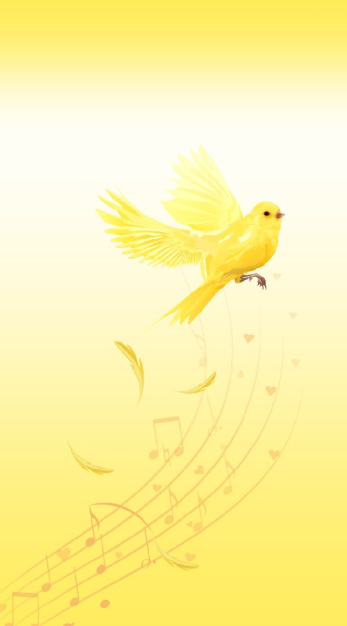 Music & Song