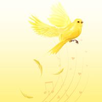 Music & Song