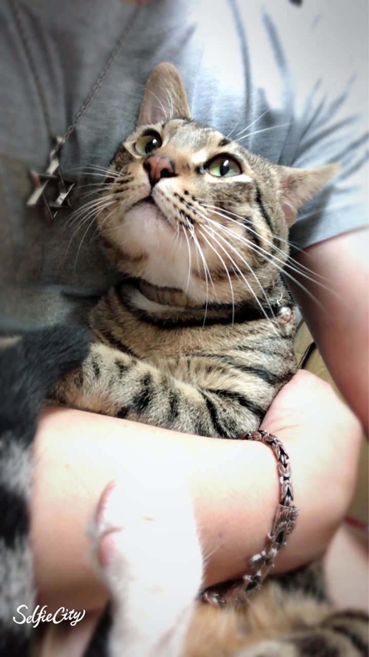 熟男熟女情綿綿