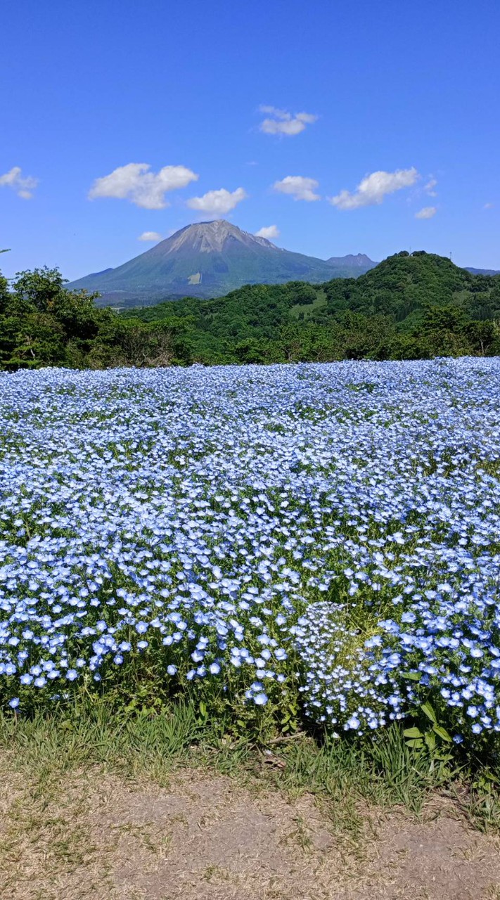 🎶🎤60才~~⚘唄って、聞いて　気持ちをユルリと❣