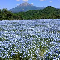 🎶🎤60才~~⚘唄って、聞いて　気持ちをユルリと❣