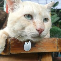 คนรักน้องไข่ตุ๋น😺🫧🫶
