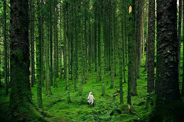 Photo by Luis del Río on Pexels.com