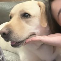 咘の毛孩幸福倉庫