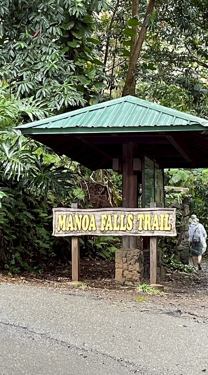 🌿⛲️🐦　木漏れ日の散歩道　