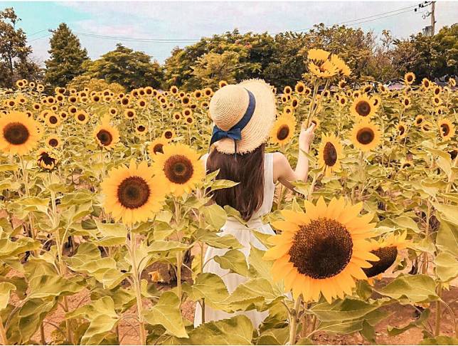 照片來源: IG @coralland