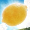 H2H進度群 moi群