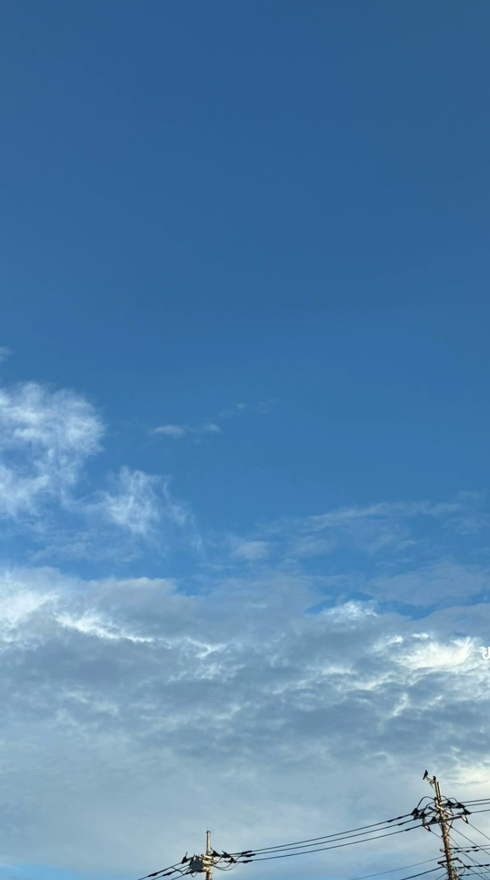雑談