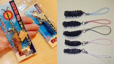 詭異拌手禮！日本謠傳青森縣「海參吊飾」泡水就會死而復生，竟然還能當緊急糧食！？