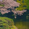 雑談オプ ライブトークやりたいな