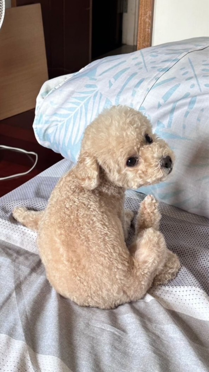 113中央英文新生群