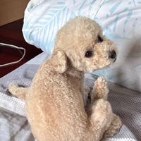 113中央英文新生群