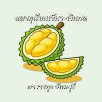แผงทุเรียนเจ๊นา เงินสด ตลาดผลทวี ขลุง จันทบุรี