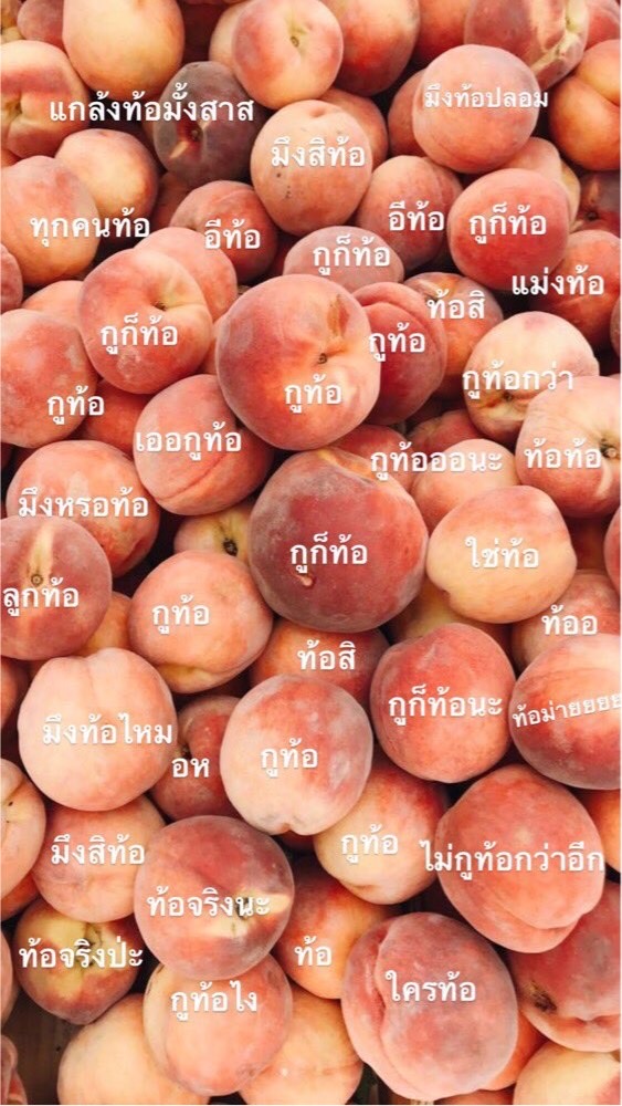 บ้านเพิร์ล OpenChat