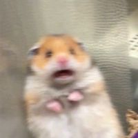 88