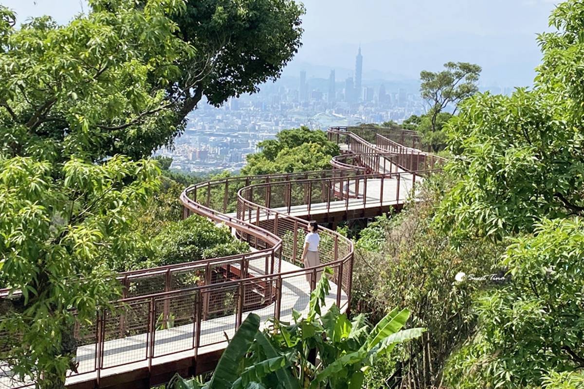 輕鬆好走不費力！內湖６條森林步道：80米「S型空中長廊」、紫色龍形吊橋