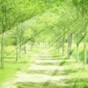 ネット版自助グループ