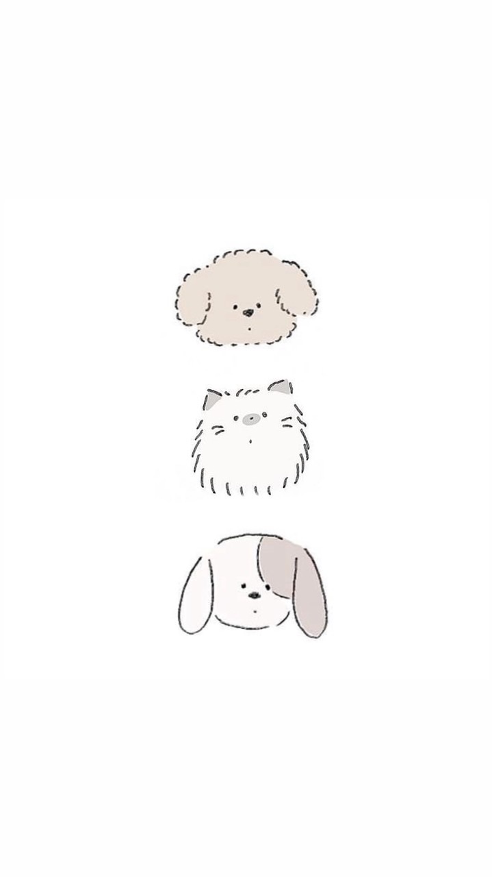 狗の貓寧Z☡zᶻ
