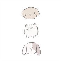 狗の貓寧Z☡zᶻ