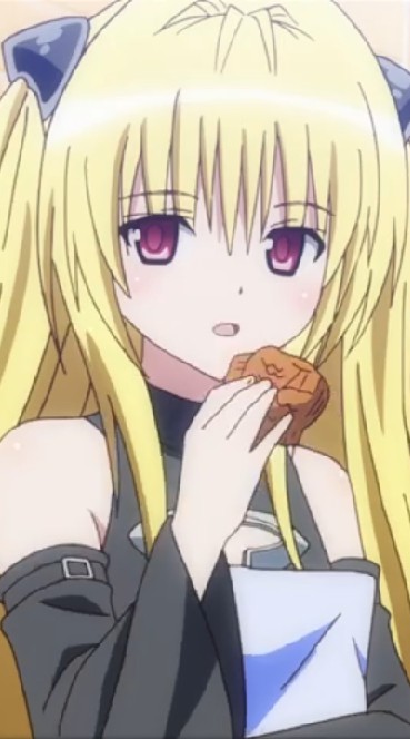 ชอบ to love ru