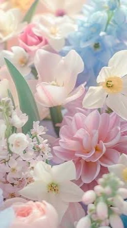 虹桃緩也  ___貴方へこの花をプレゼント、¿