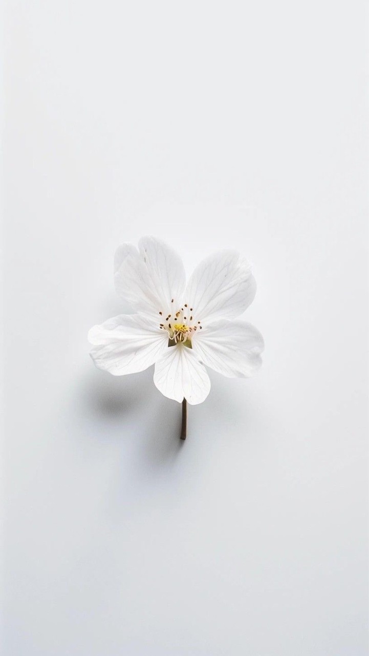 ✿香香旅行選品• Little Things✿