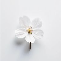 ✿香香旅行選品• Little Things✿