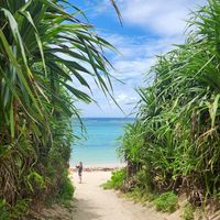 🍍沖縄🍍友だちになろう～🏝