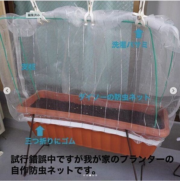 食材をムダにしない買い方 使い方ルール