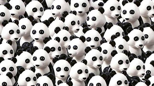 foto: mendozapost.com