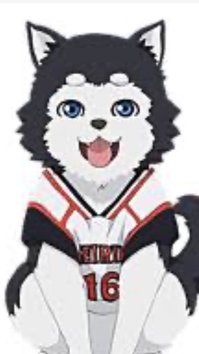 黒バス好きさん語ろうず【腐】