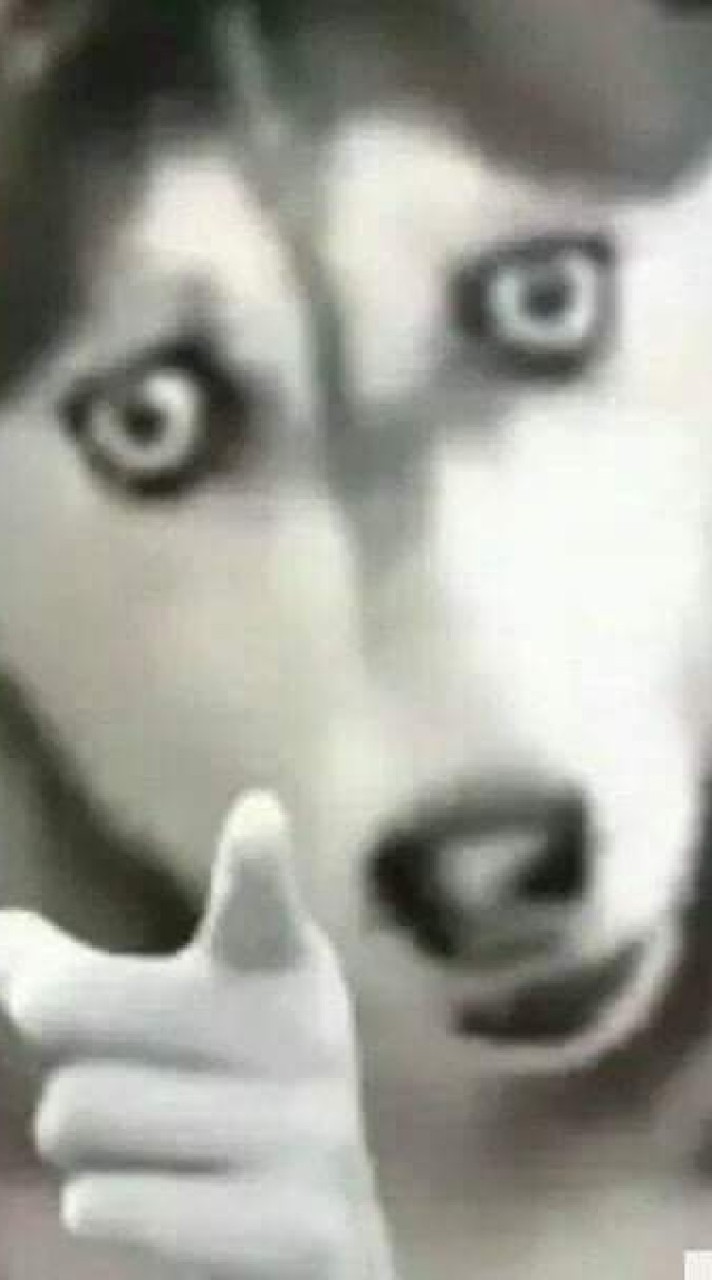 抖音孤兒院員工群