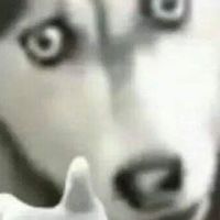 抖音孤兒院員工群