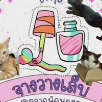 จางวางเล็บbyกุ้ง0974488334