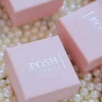 POSH DISTRICT ACCESSORIES