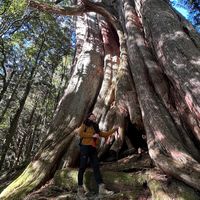 🌈加成登山樂活VIP群
