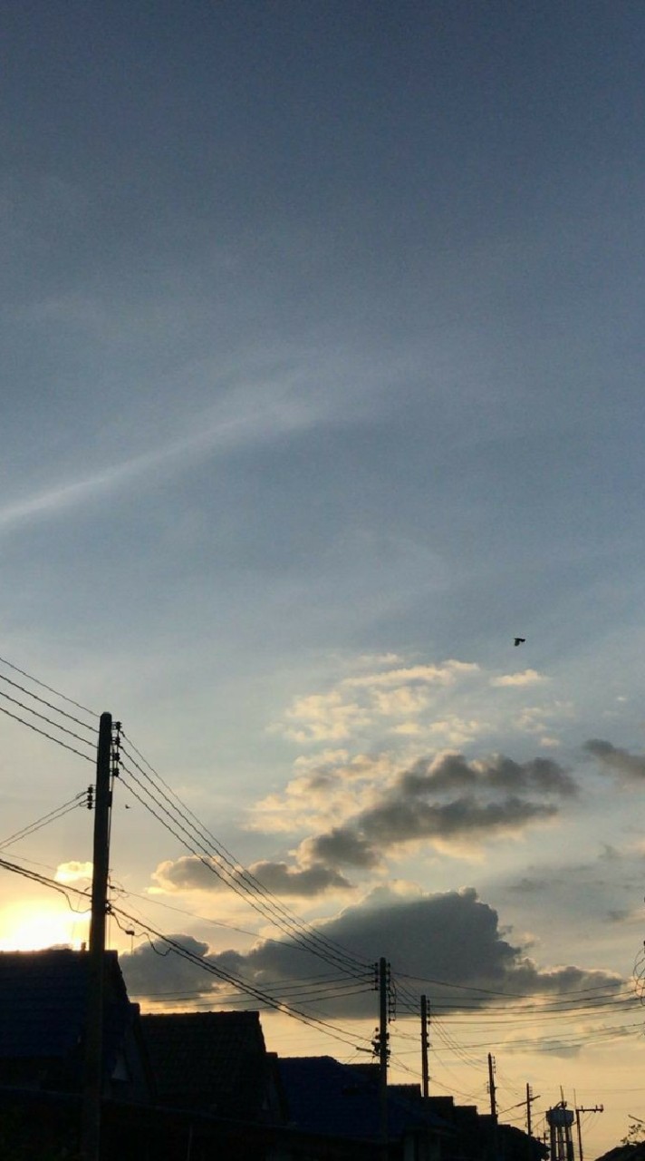 KMITL ชุมพร