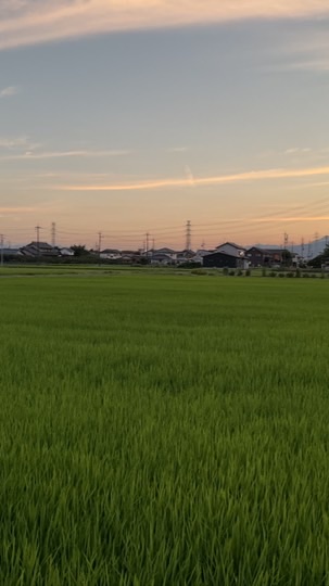 西木田自治会