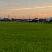 西木田自治会