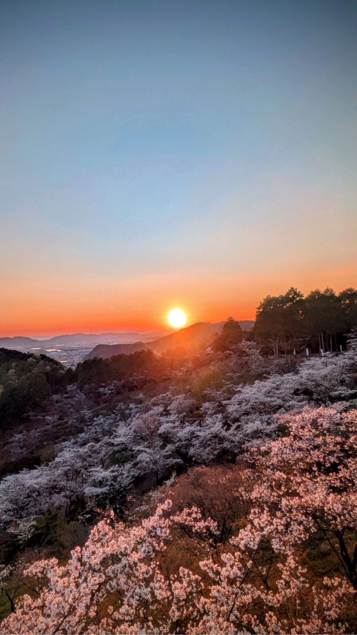 岐阜県✨真✨丸ごと友達の輪🙆‍♂️