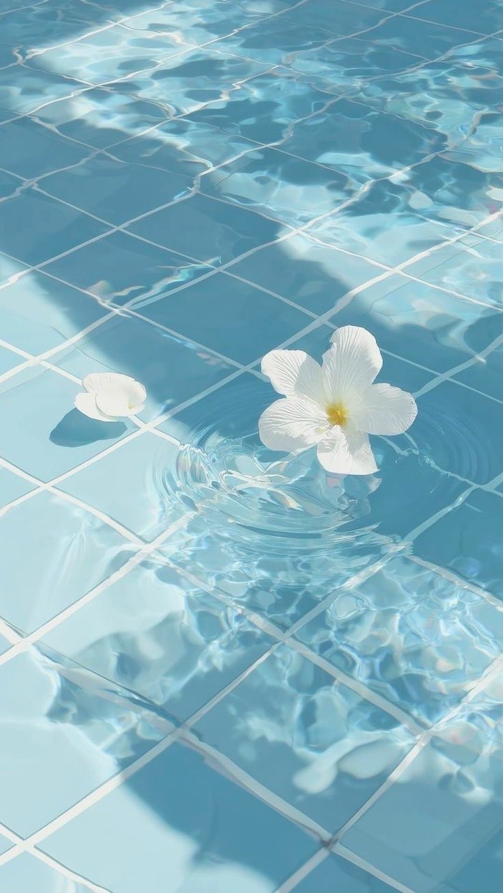 ❝　─　全 也 ❕　₊ ⊹