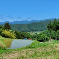 みんなの楽園作るよProject the DAO🍀
