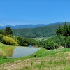 みんなの楽園作るよProject the DAO🍀
